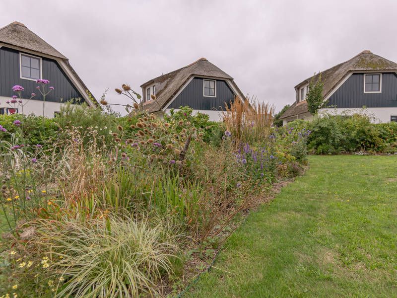 Buitenplaats 133 - Vakantiehuis Callantsoog - LekkerNaarZee